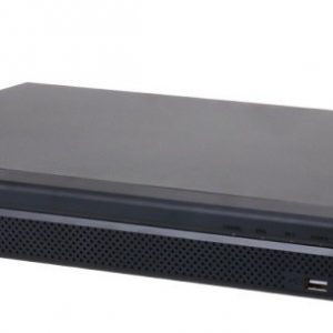 DHI-NVR4216-4KS2/L